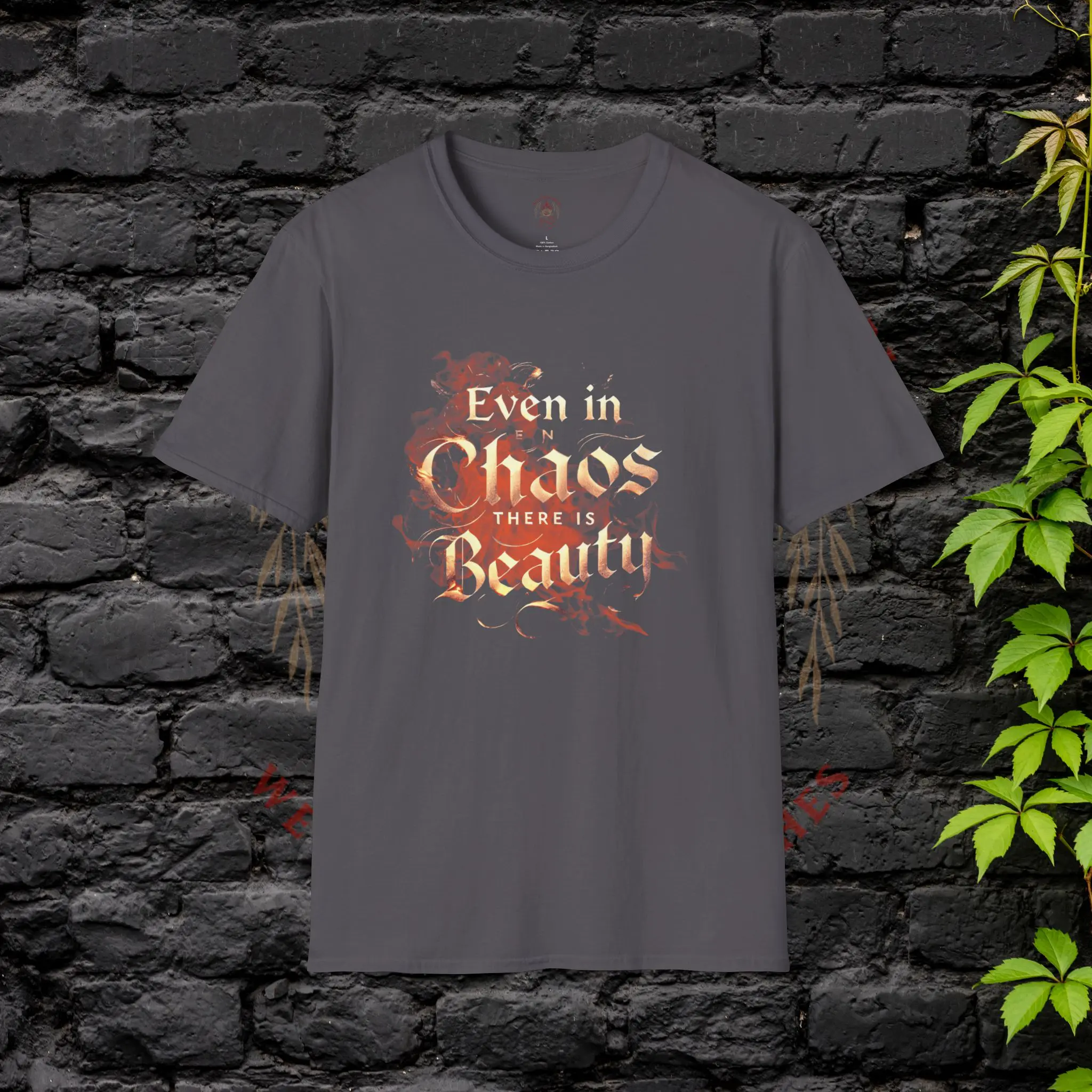 Even in Chaos There is Beauty T-Shirt – Gray