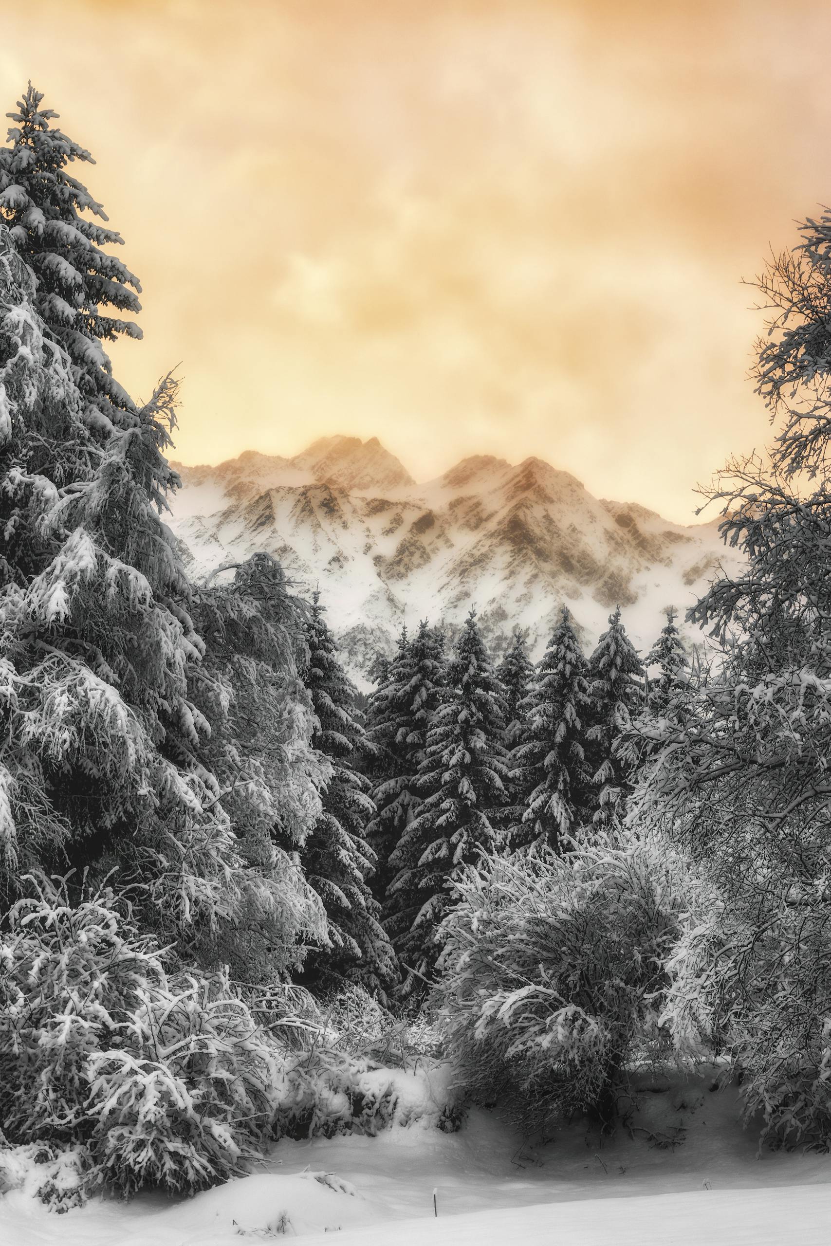 Breathtaking winter sunrise over snow-covered forest and mountain landscape.