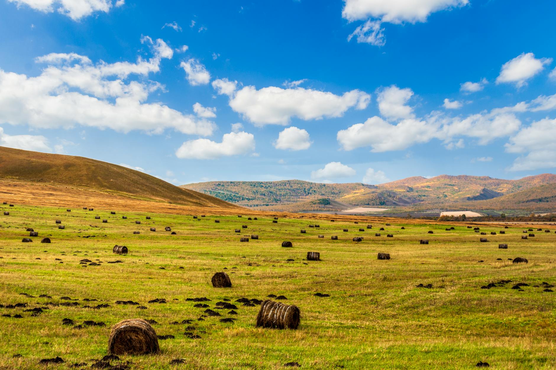 Open countryside field with hay bales, rolling hills, and a bright blue sky with clouds.