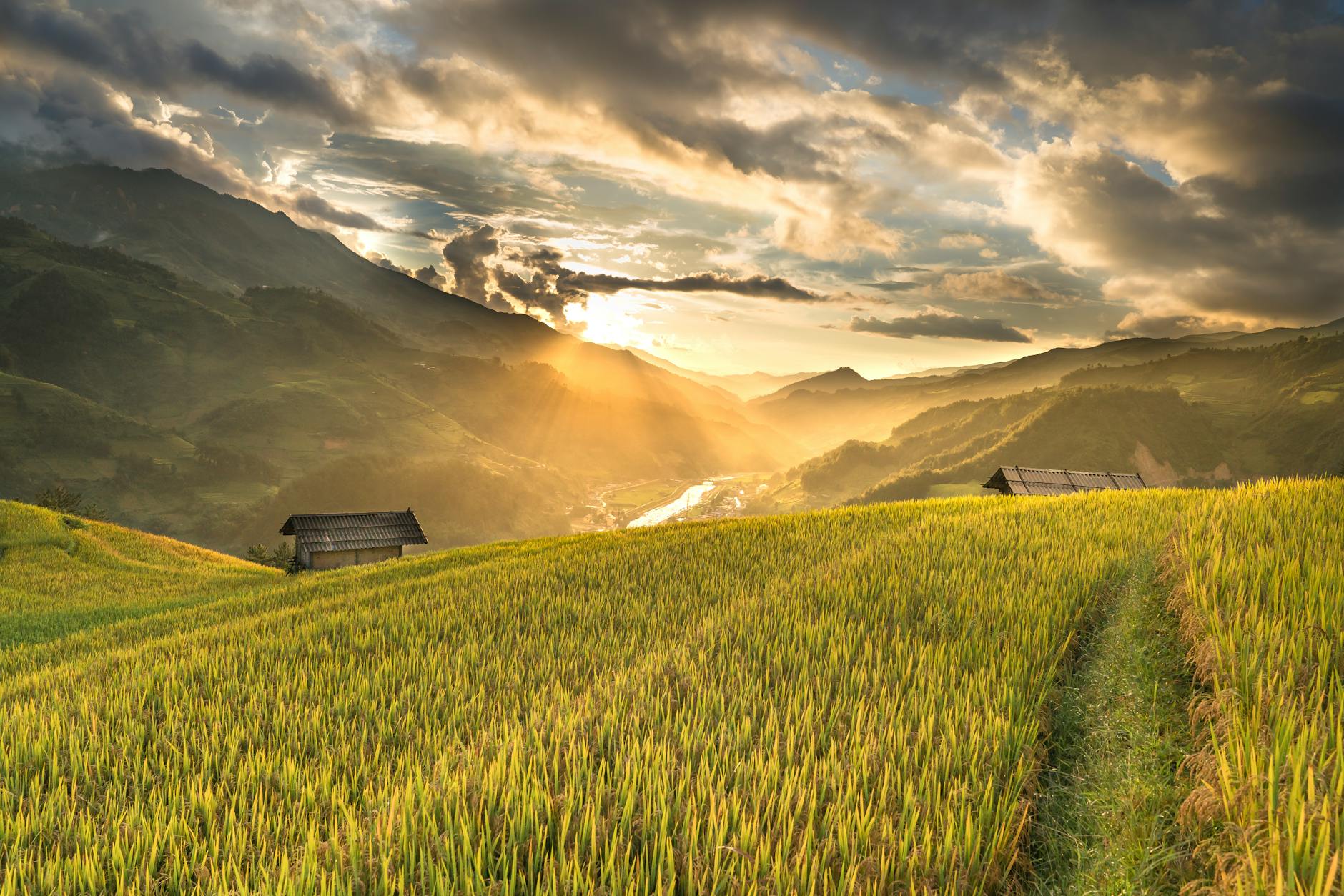 Rolling countryside hills and farmland