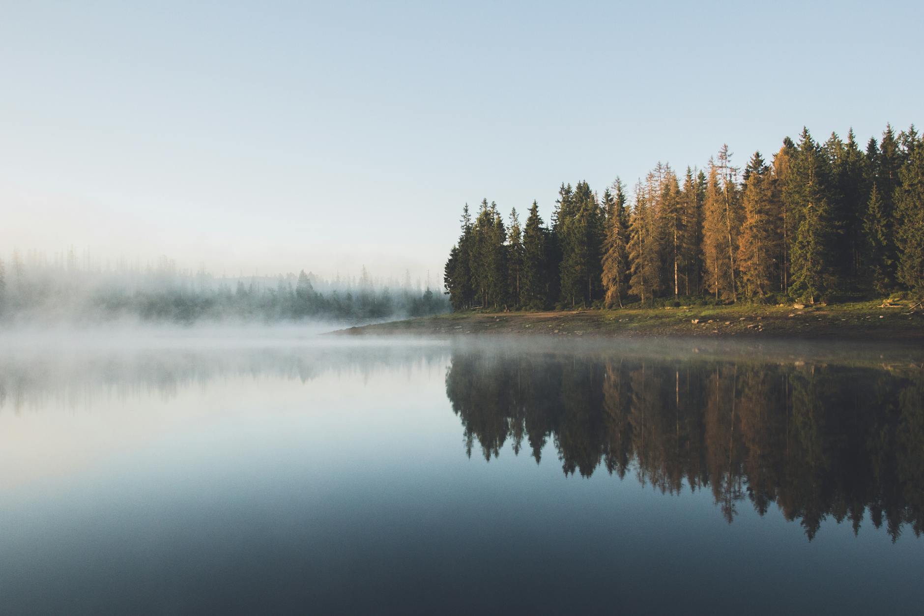 Calm lake with distant forest reflection