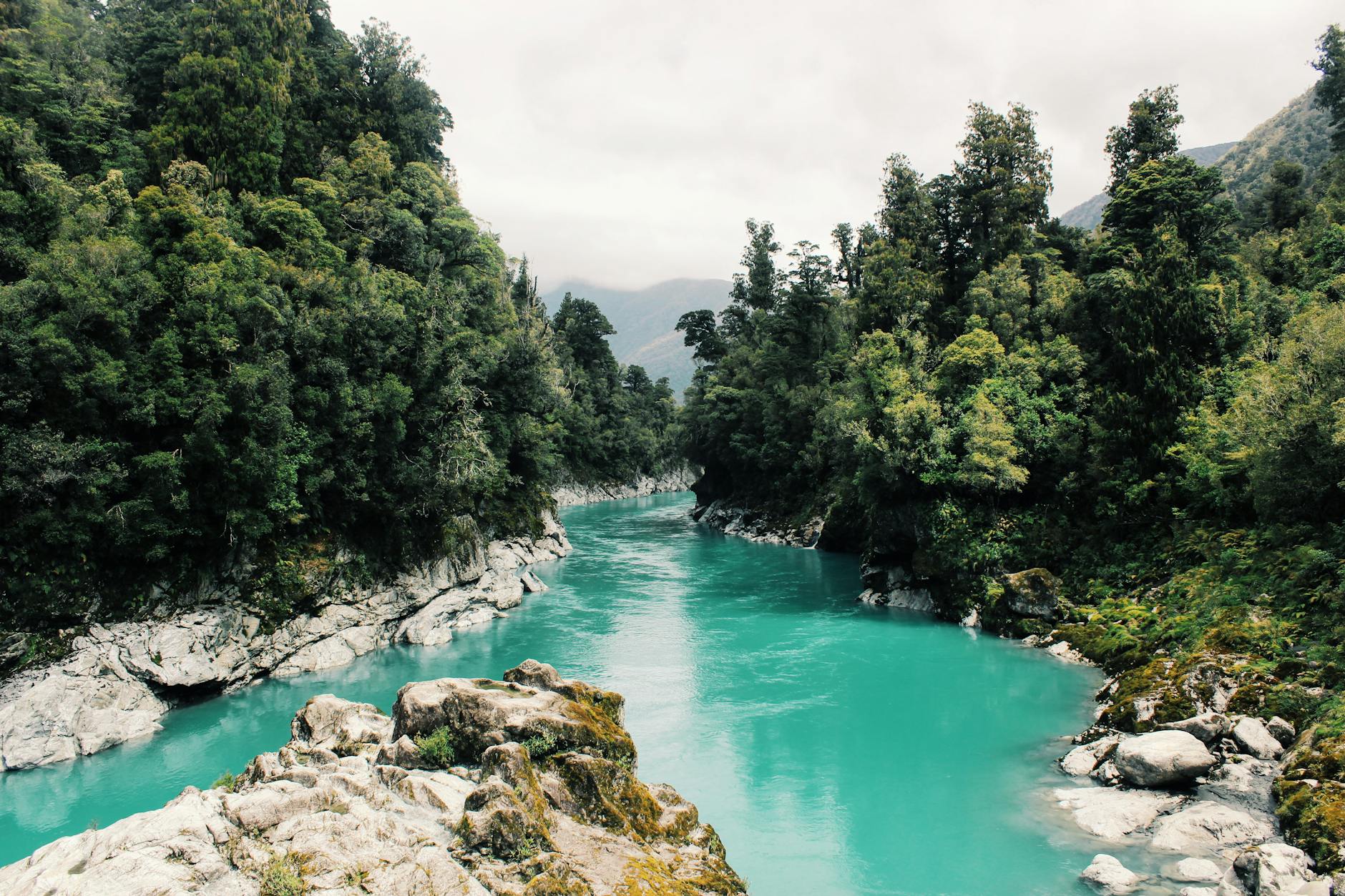 Turquoise river flowing through a forest canyon with rocky banks and dense green trees.