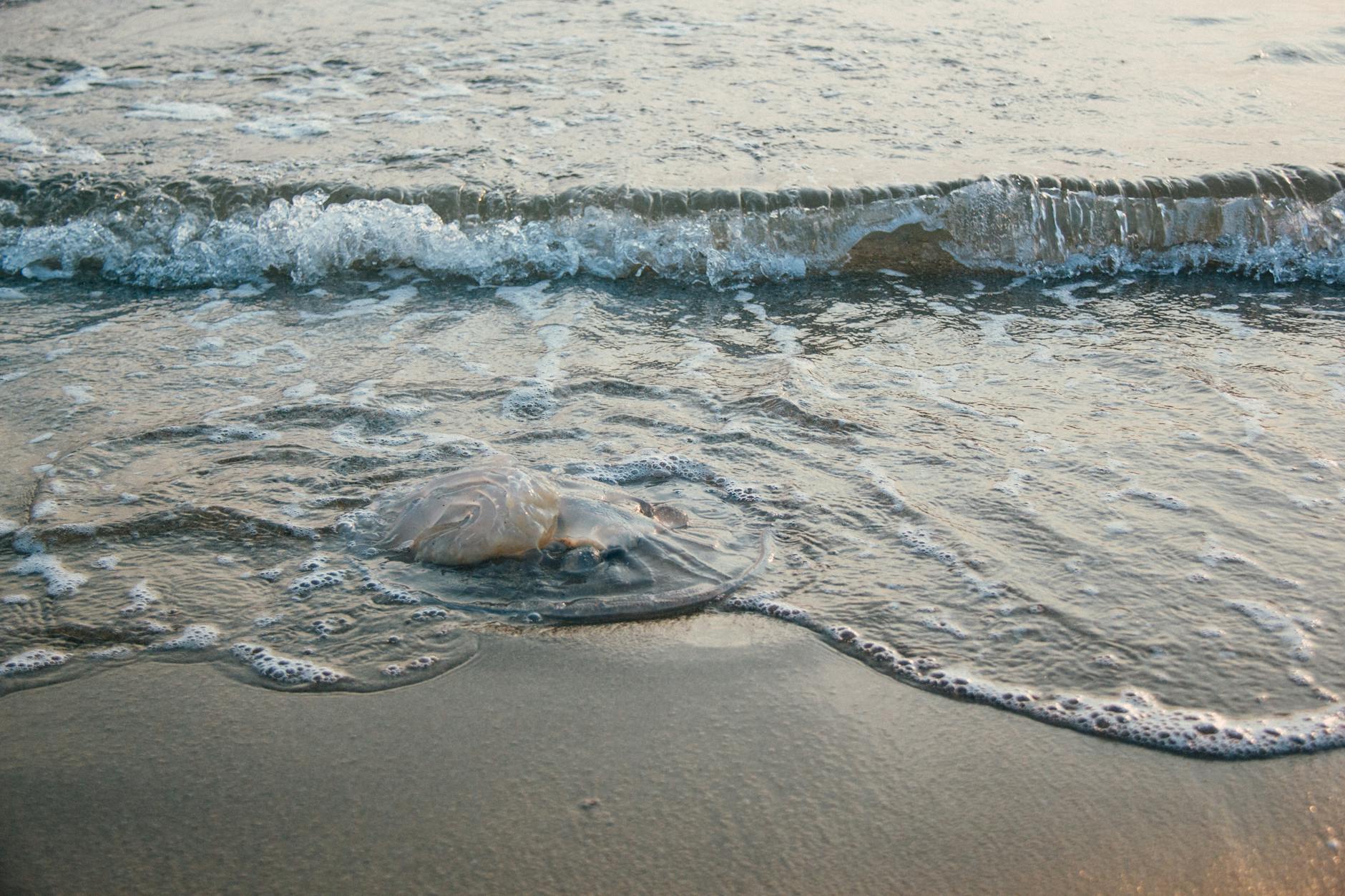 Ocean waves rolling onto beach
