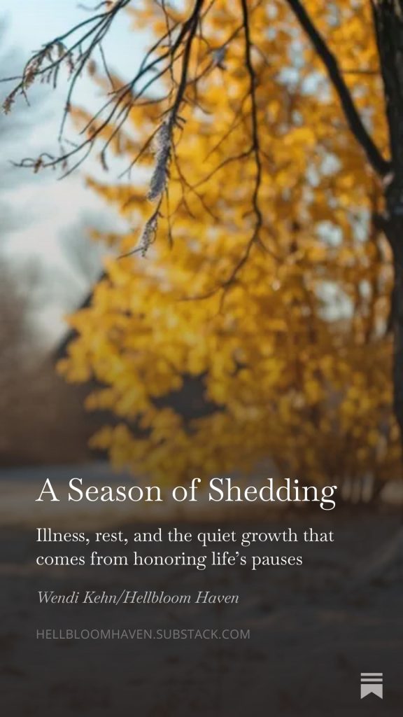 Hellbloom Haven | Trauma Education, Peer Support & Healing Resources | Hellbloom Haven Blog post cover