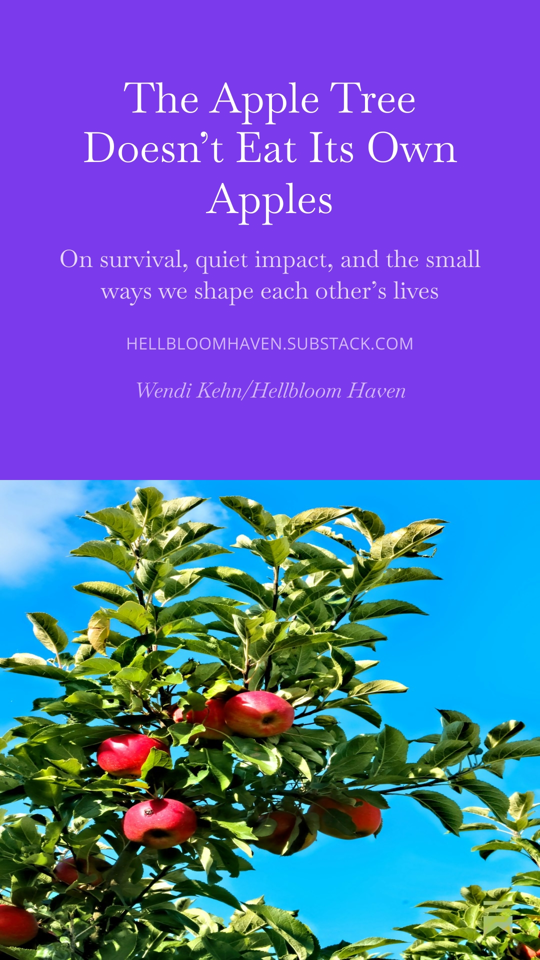 Hellbloom Haven | Trauma Education, Peer Support & Healing Resources | Hellbloom Haven Blog post cover