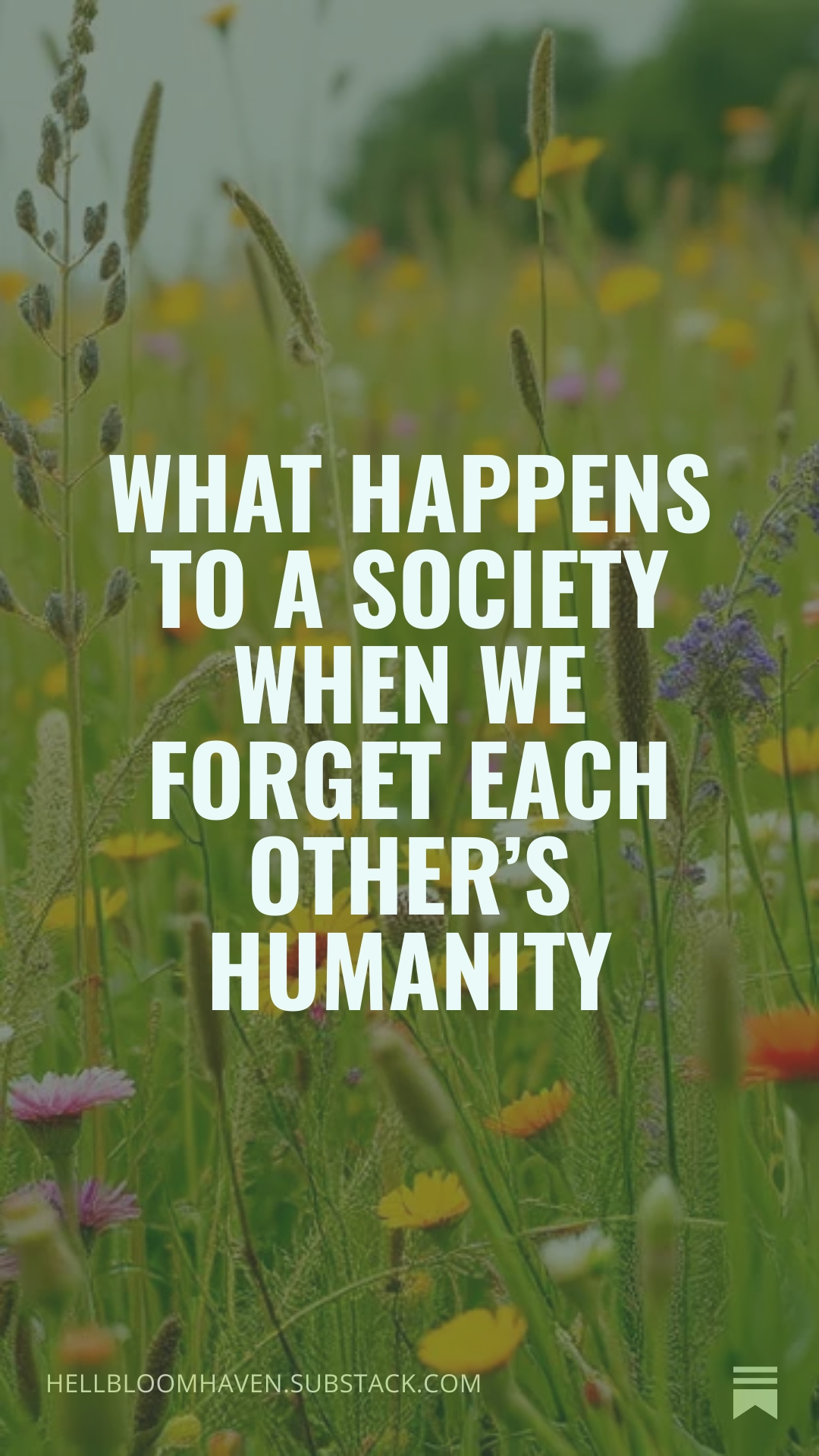 Hellbloom Haven | Trauma Education, Peer Support & Healing Resources | Hellbloom Haven Blog post cover