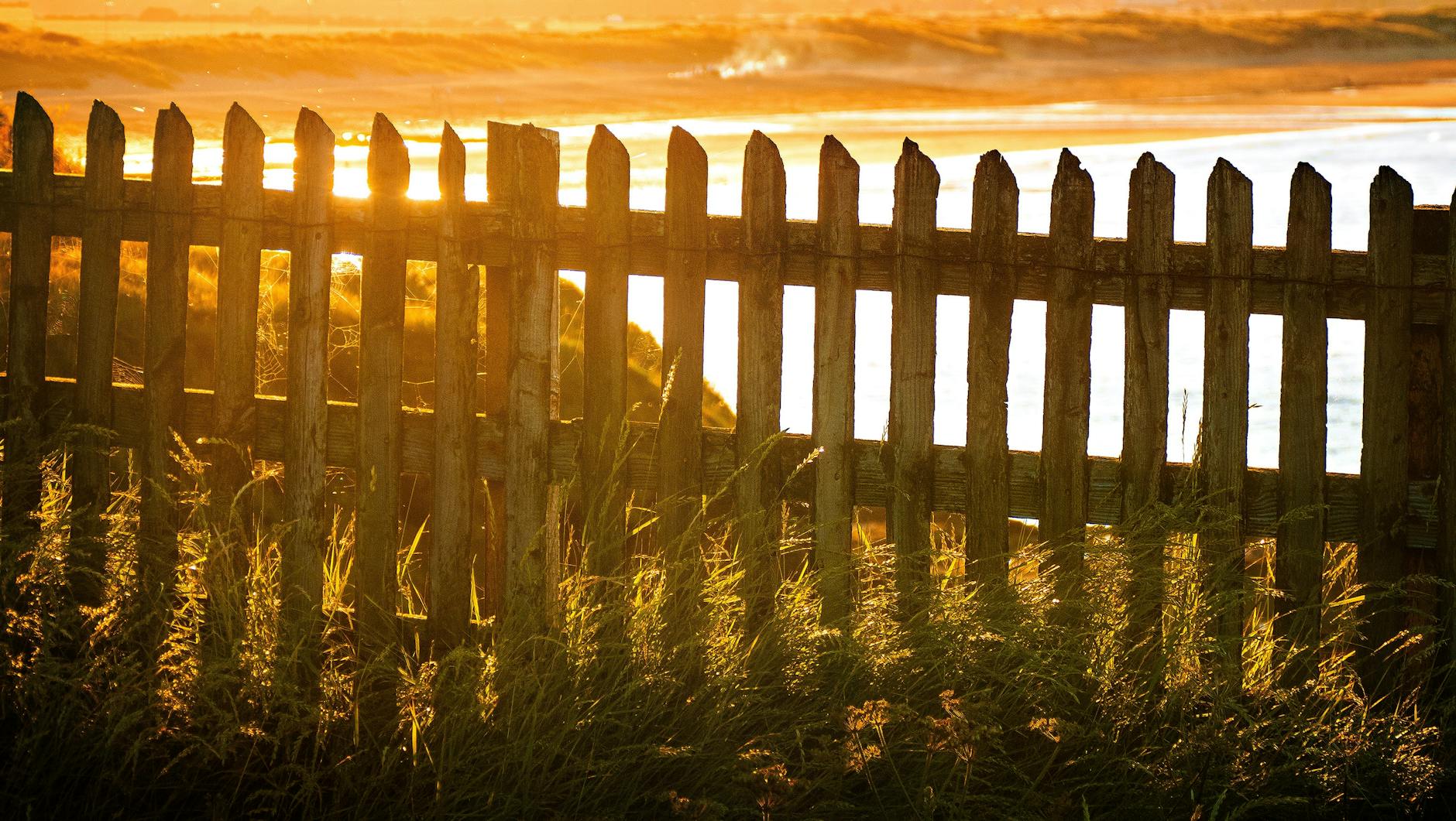 brown wooden fence near body of water